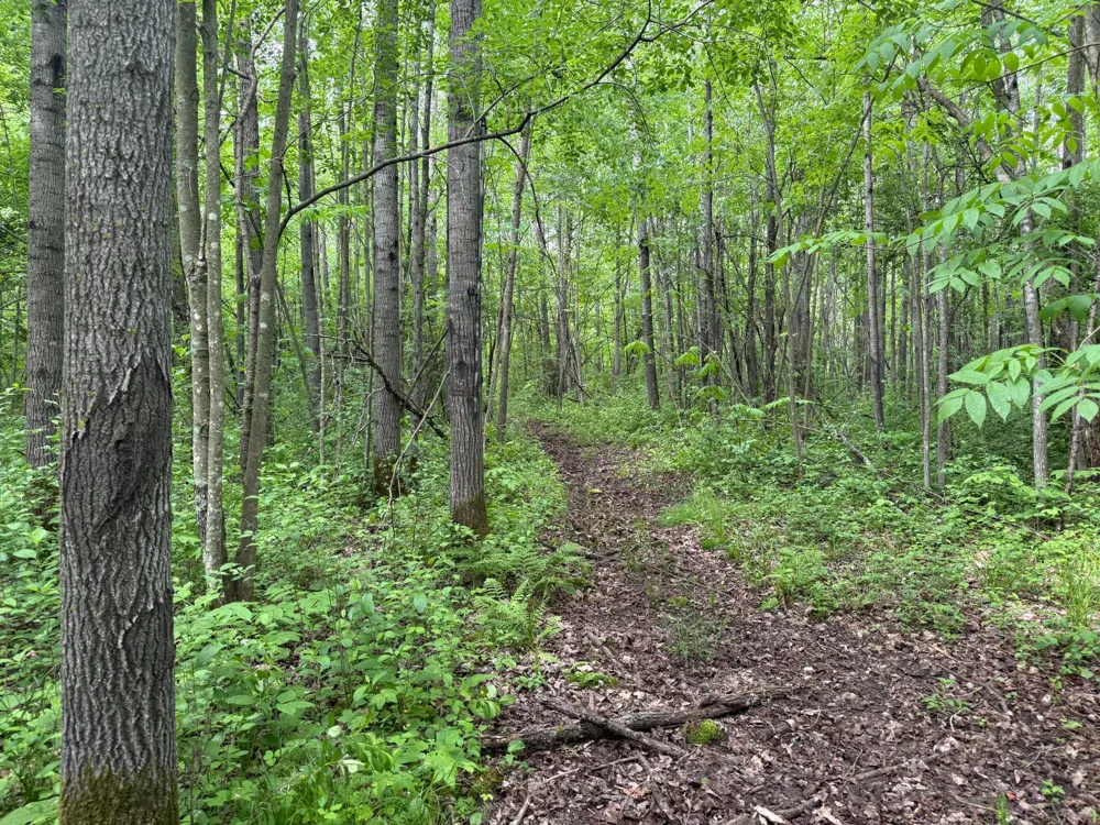 10551 Mallard Road Brook Park, MN 55007