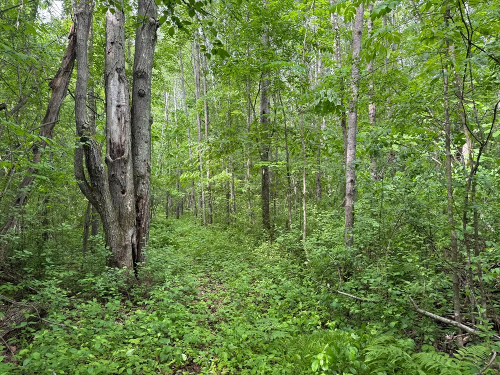 10551 Mallard Road Brook Park, MN 55007