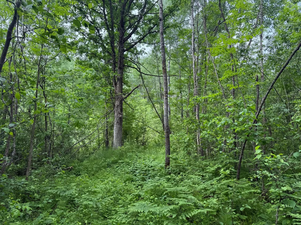10551 Mallard Road Brook Park, MN 55007