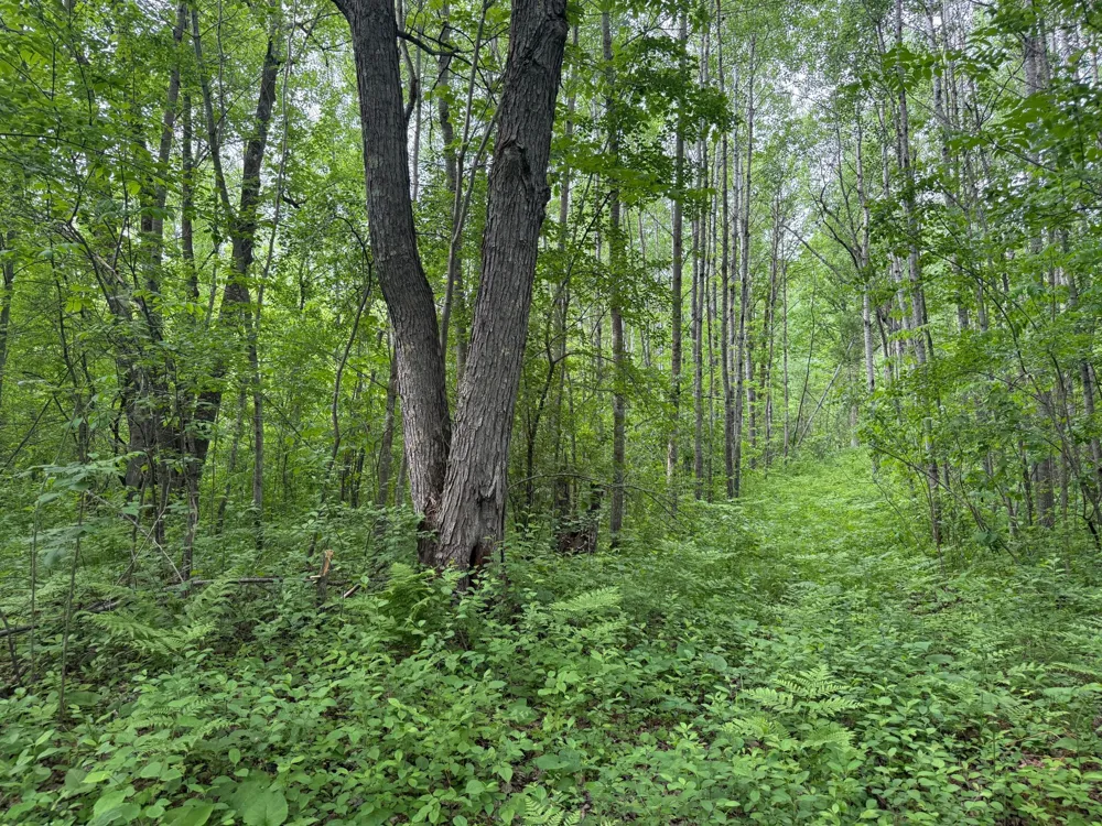 10551 Mallard Road Brook Park, MN 55007