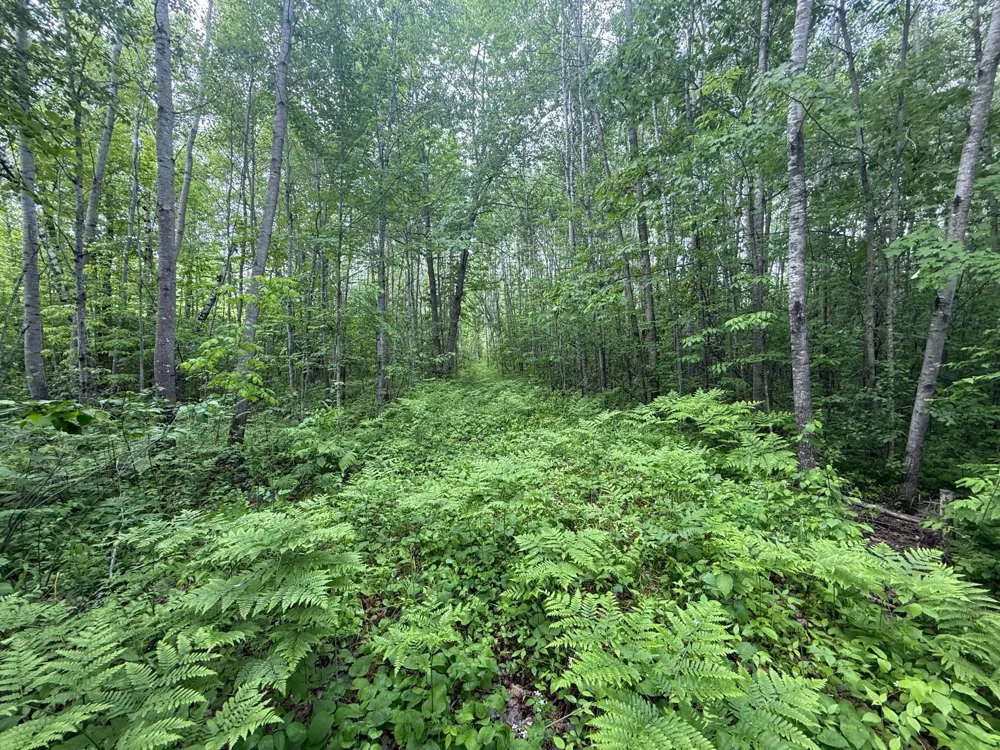 10551 Mallard Road Brook Park, MN 55007