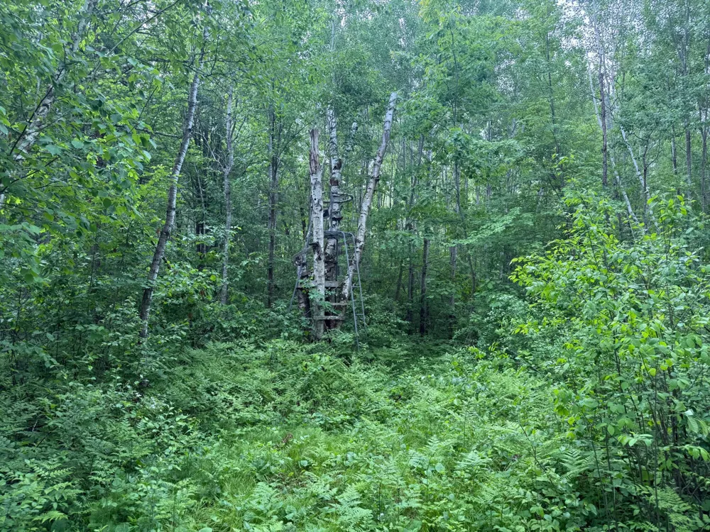 10551 Mallard Road Brook Park, MN 55007