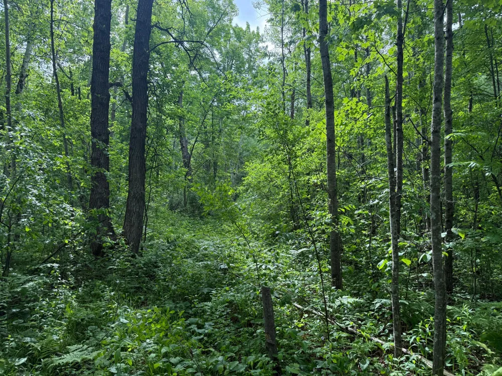 10551 Mallard Road Brook Park, MN 55007