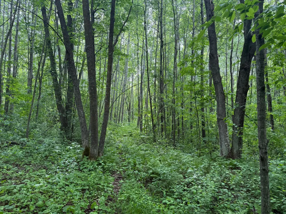 10551 Mallard Road Brook Park, MN 55007