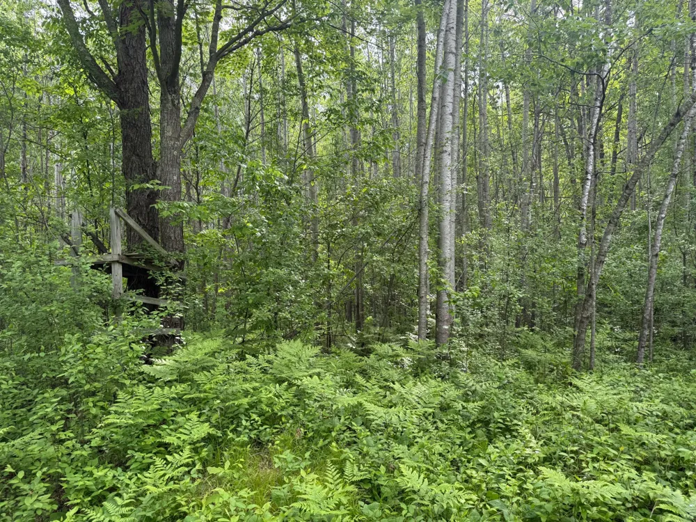 10551 Mallard Road Brook Park, MN 55007