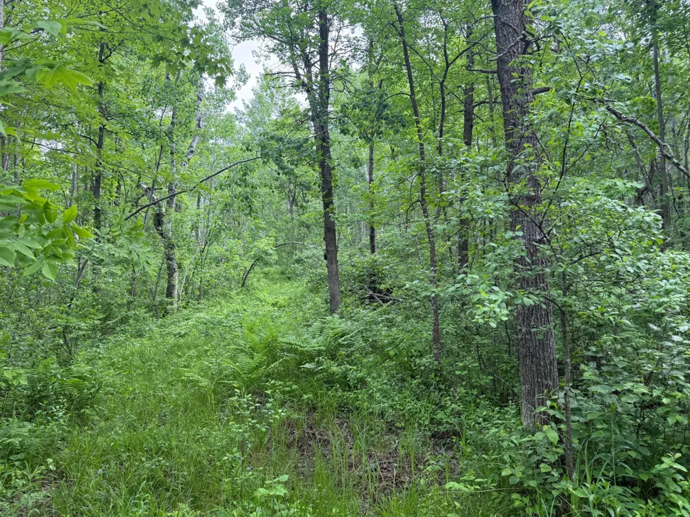 10551 Mallard Road Brook Park, MN 55007
