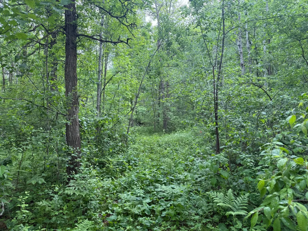10551 Mallard Road Brook Park, MN 55007