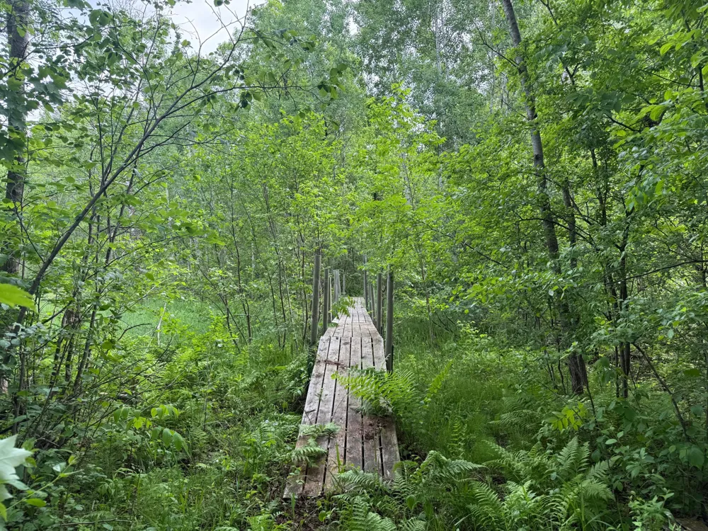 10551 Mallard Road Brook Park, MN 55007