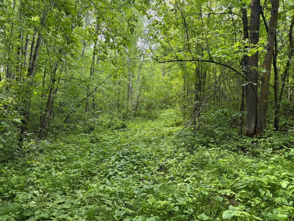 10551 Mallard Road Brook Park, MN 55007