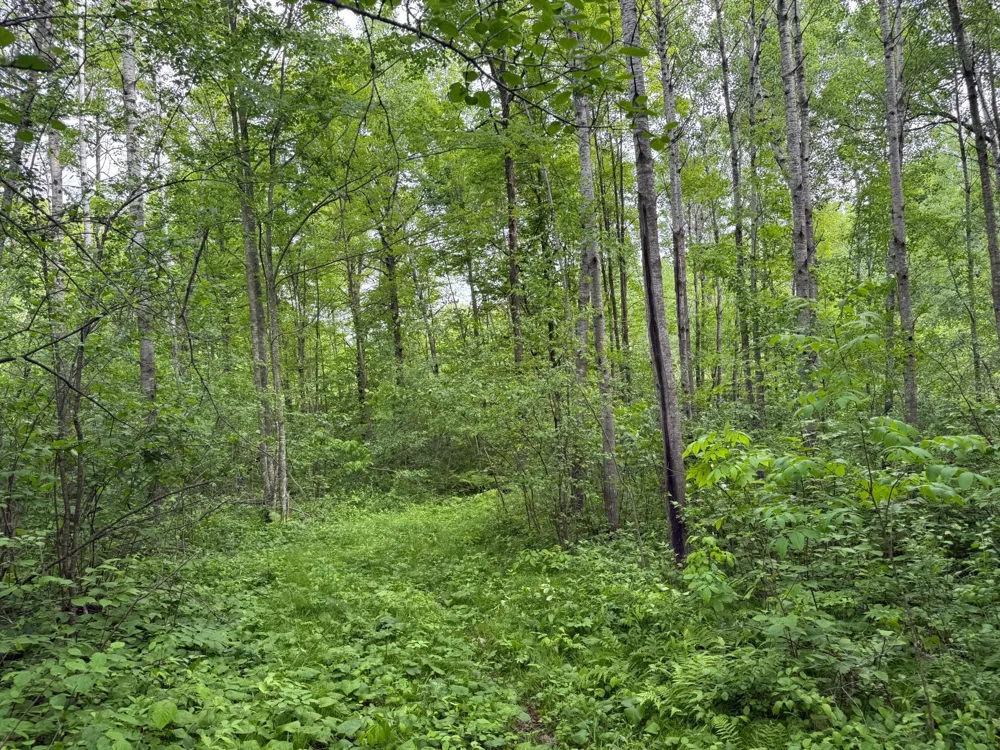 10551 Mallard Road Brook Park, MN 55007