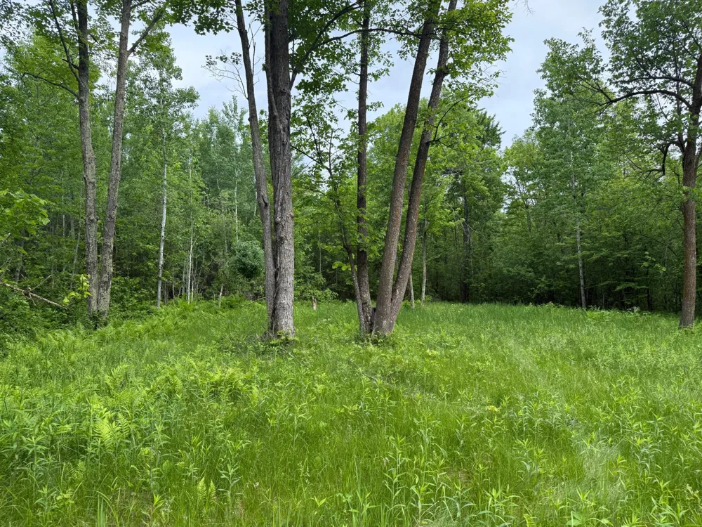 10551 Mallard Road Brook Park, MN 55007
