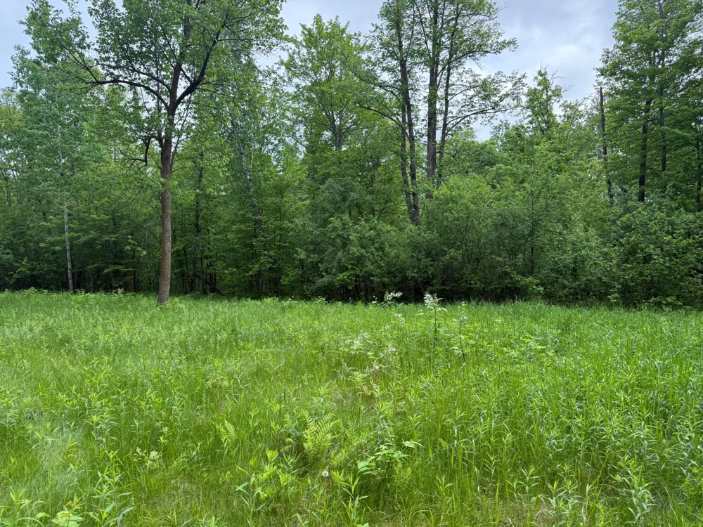 10551 Mallard Road Brook Park, MN 55007
