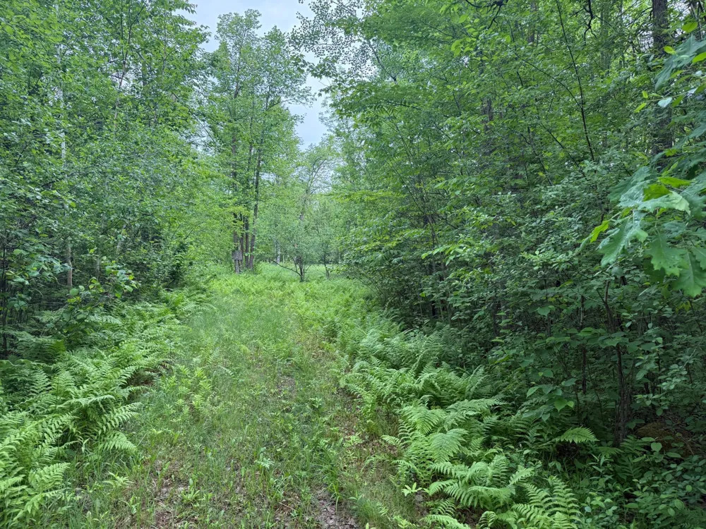 10551 Mallard Road Brook Park, MN 55007