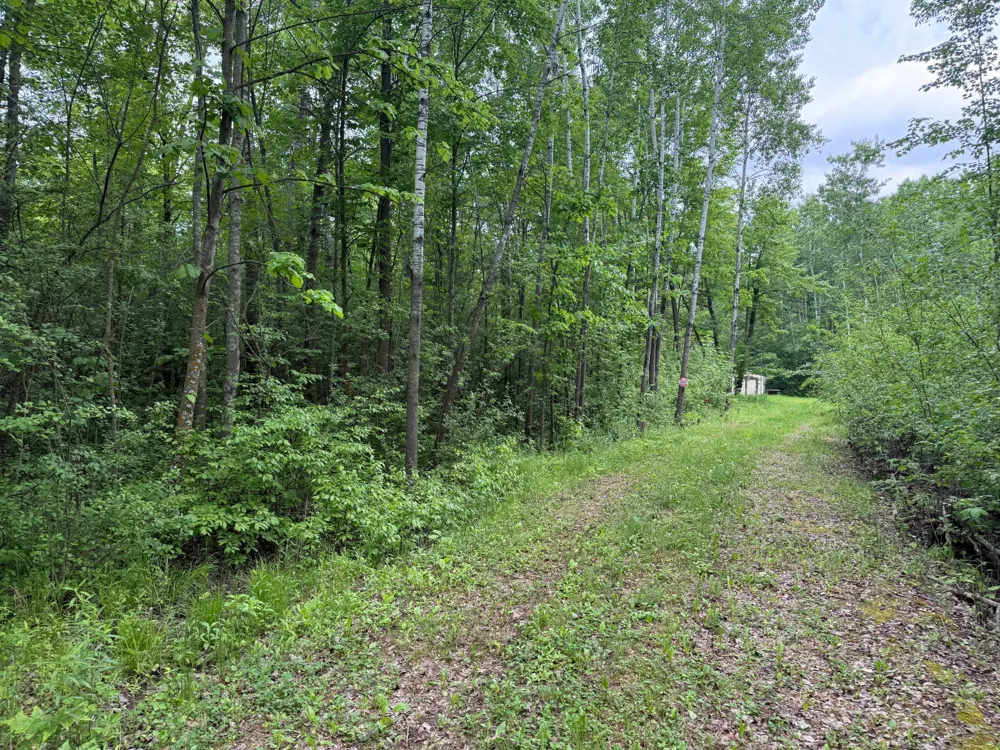 10551 Mallard Road Brook Park, MN 55007