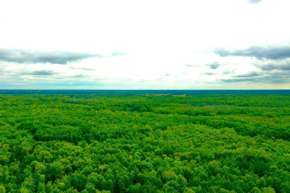 10551 Mallard Road Brook Park, MN 55007