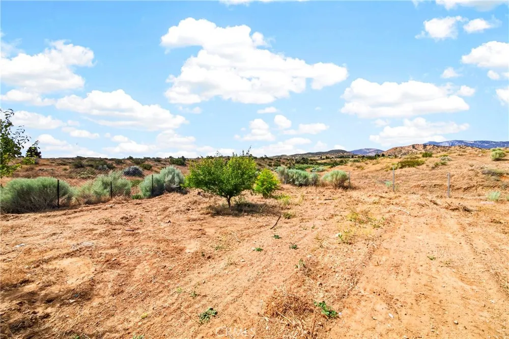 5445 Snow Line Phelan, CA 92371