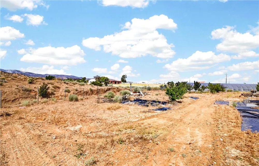 5445 Snow Line Phelan, CA 92371