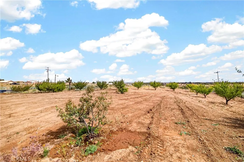 5445 Snow Line Phelan, CA 92371
