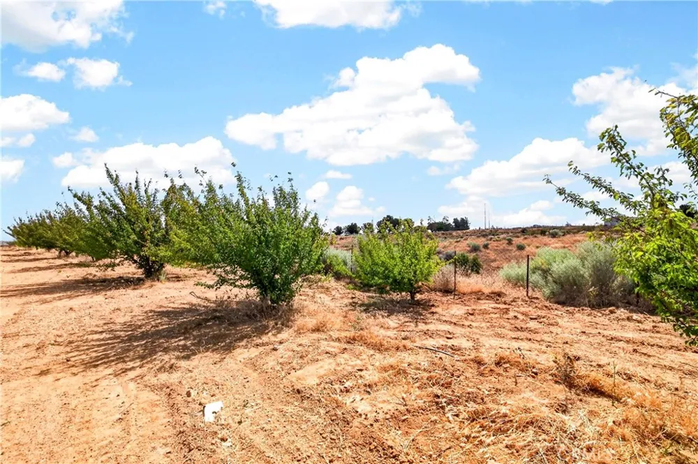 5445 Snow Line Phelan, CA 92371