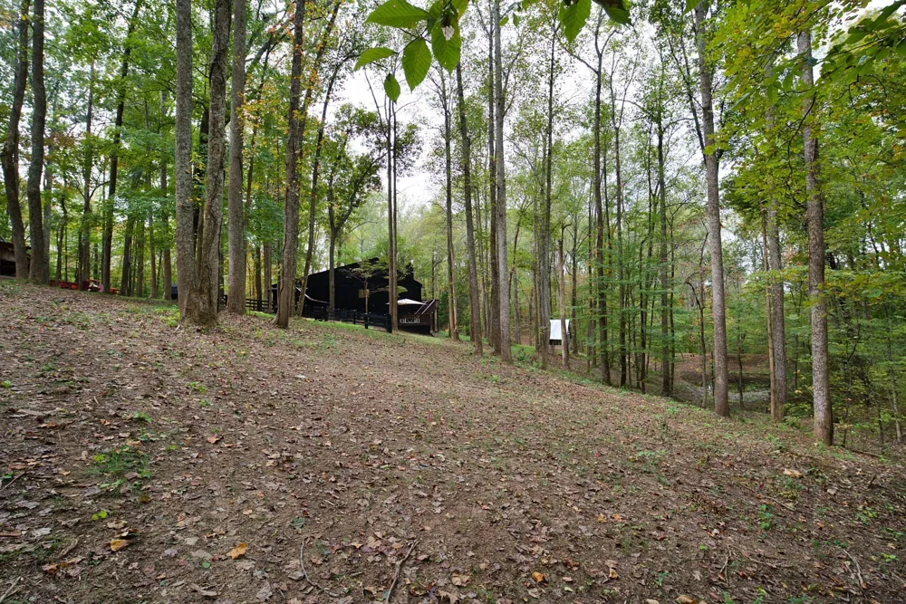 5906 Carter Ln Franklin, TN 37064