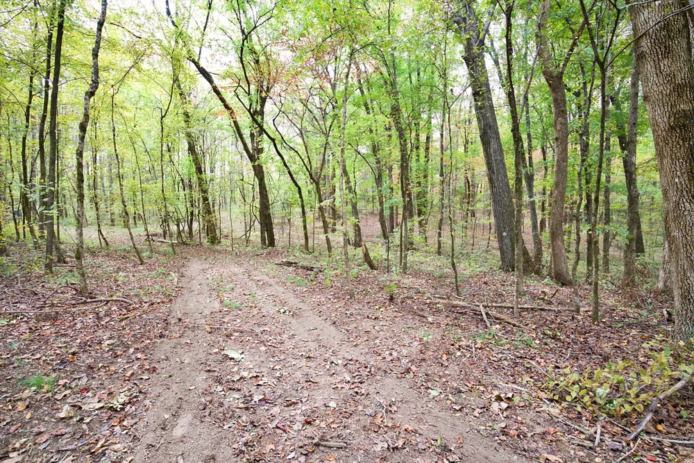 5906 Carter Ln Franklin, TN 37064
