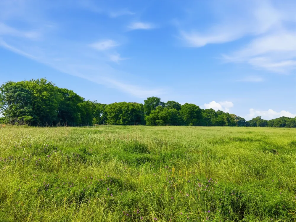 CR 1200 Mt Pleasant, TX 75455