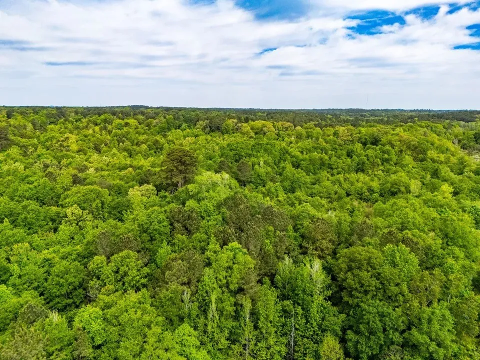 White Oak Road Big Sandy, TX 75755