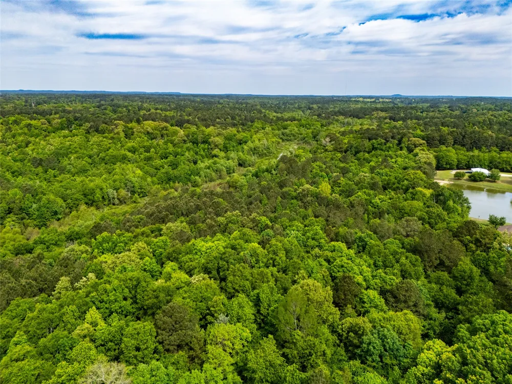White Oak Road Big Sandy, TX 75755
