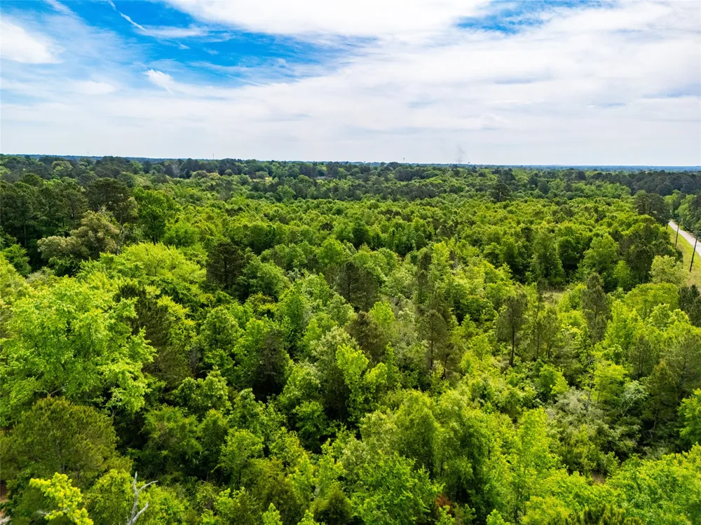 White Oak Road Big Sandy, TX 75755