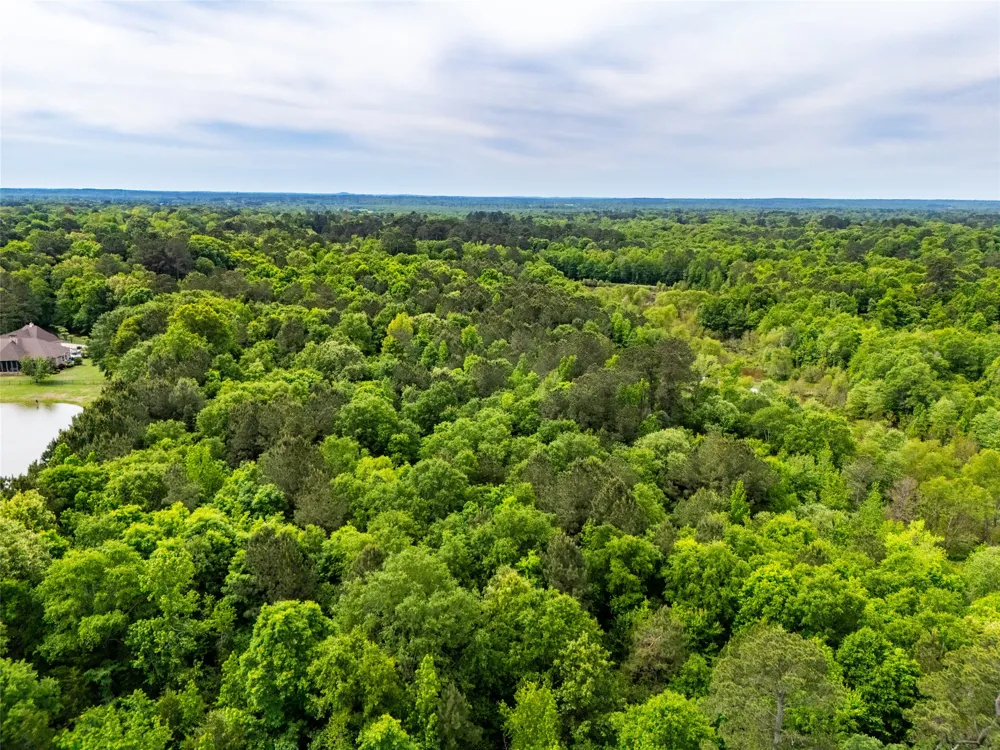White Oak Road Big Sandy, TX 75755