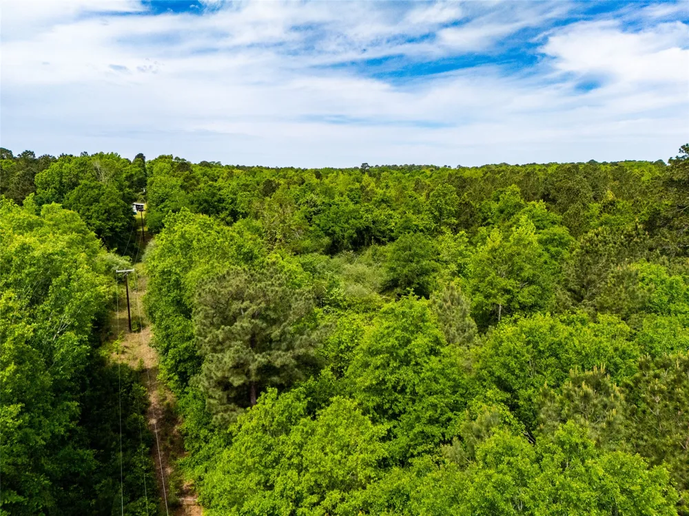 White Oak Road Big Sandy, TX 75755