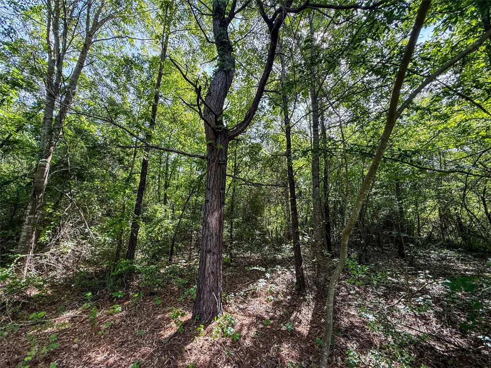 White Oak Road Big Sandy, TX 75755
