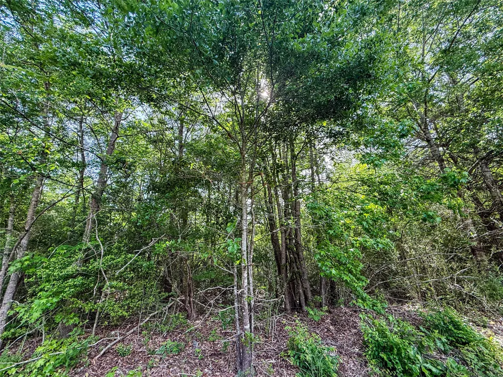 White Oak Road Big Sandy, TX 75755