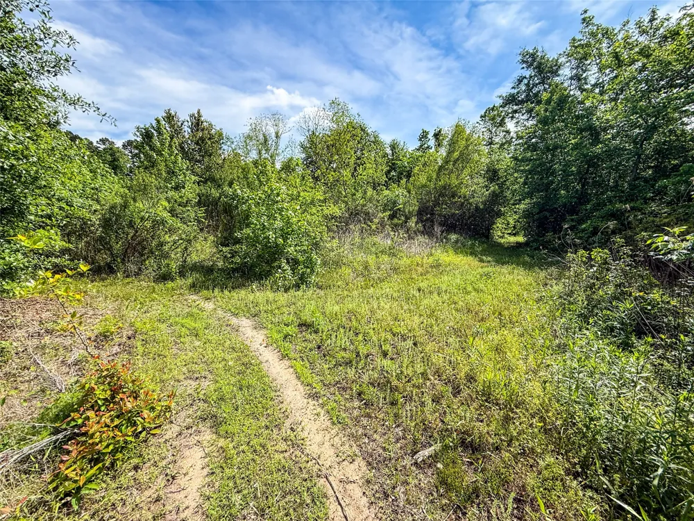 White Oak Road Big Sandy, TX 75755