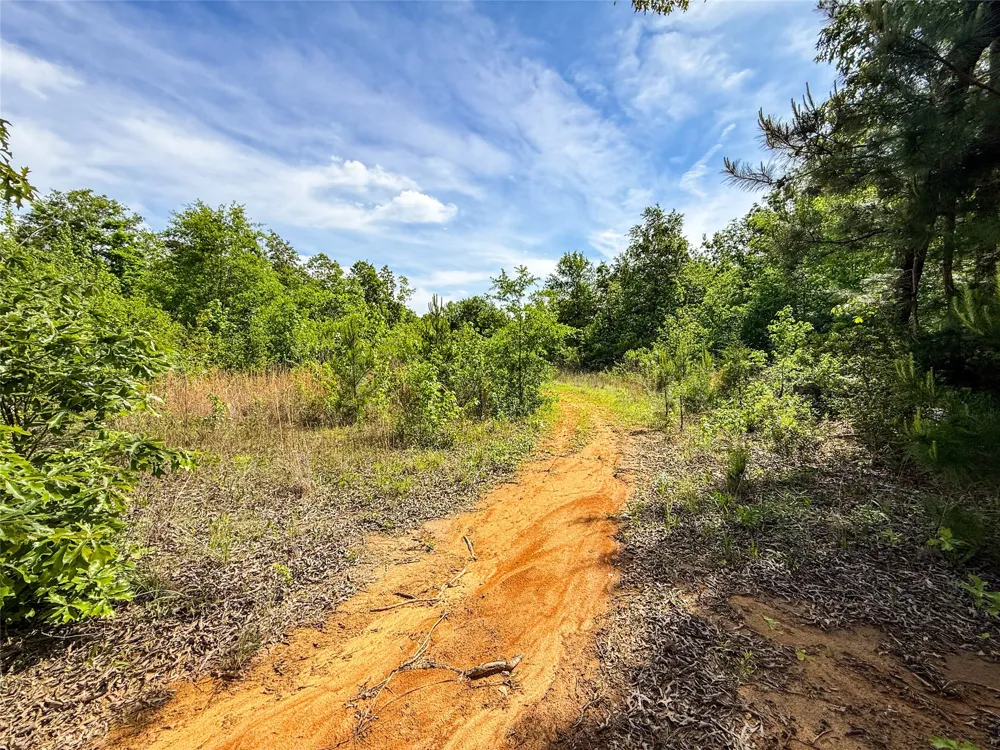 White Oak Road Big Sandy, TX 75755