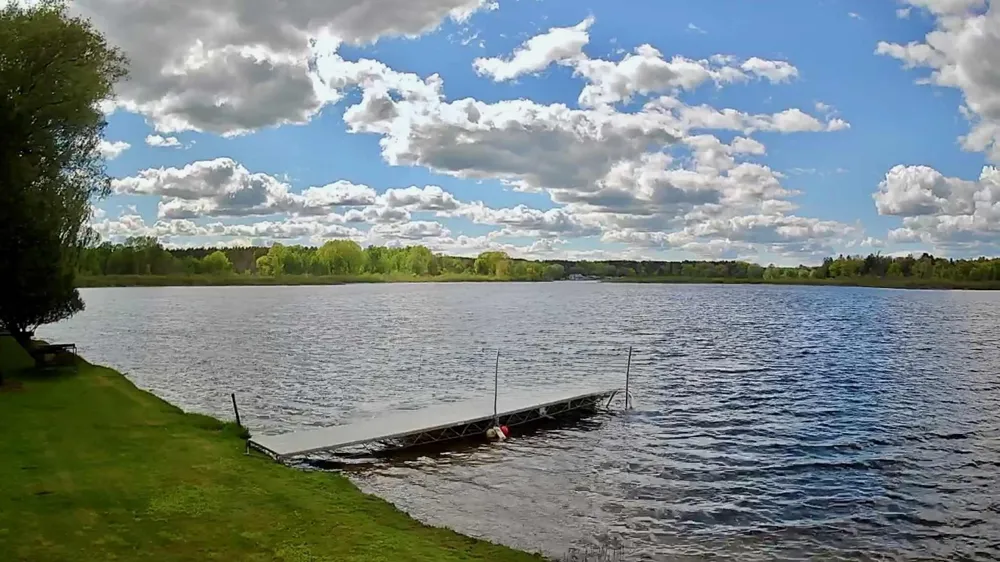 9388 S Lake Drive Evart, MI 49631