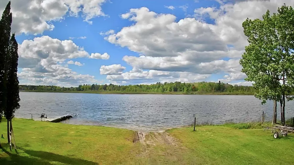 9388 S Lake Drive Evart, MI 49631