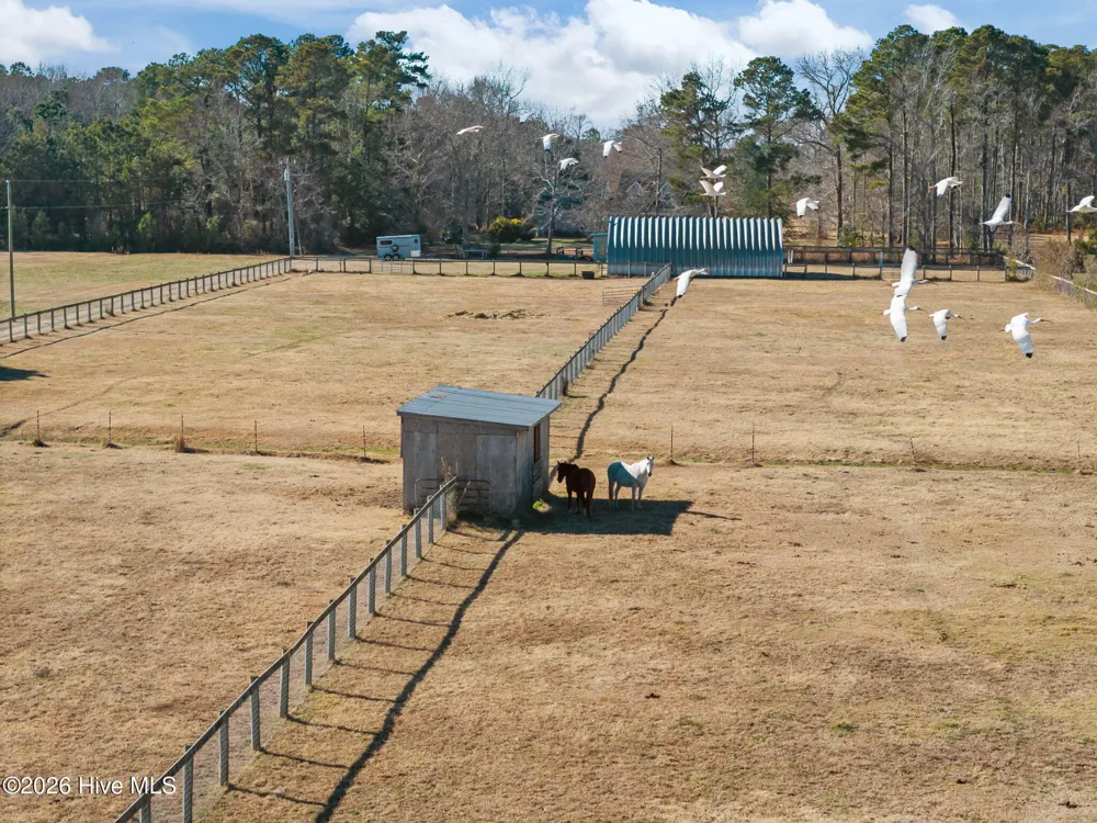 108 Young Rider Lane Grandy, NC 27939