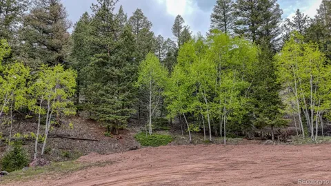 918 Pinon Lane