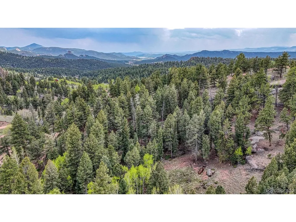 918 Pinon Lane Florissant, CO 80816