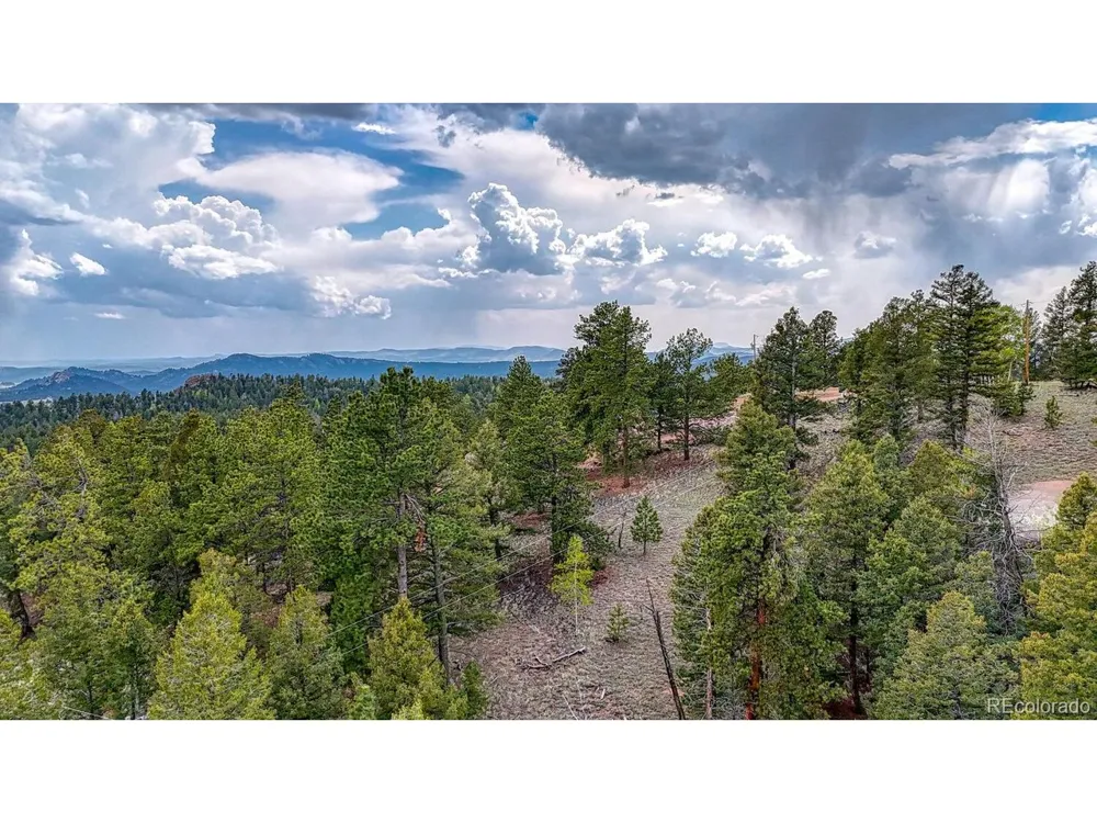 918 Pinon Lane Florissant, CO 80816