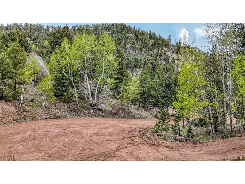918 Pinon Lane Florissant, CO 80816