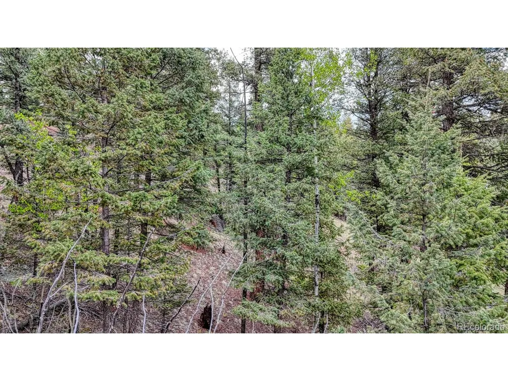 918 Pinon Lane Florissant, CO 80816