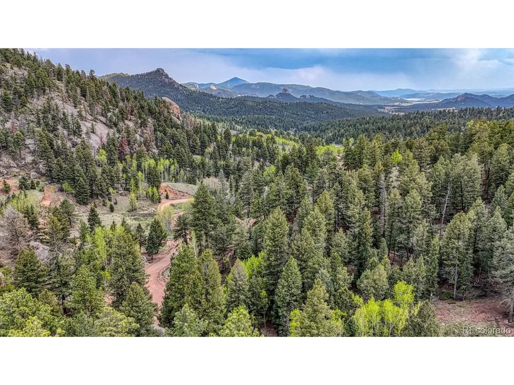 918 Pinon Lane Florissant, CO 80816