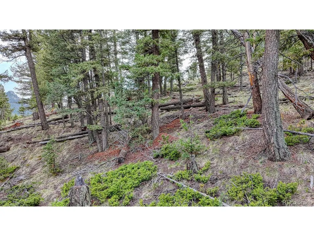 918 Pinon Lane Florissant, CO 80816