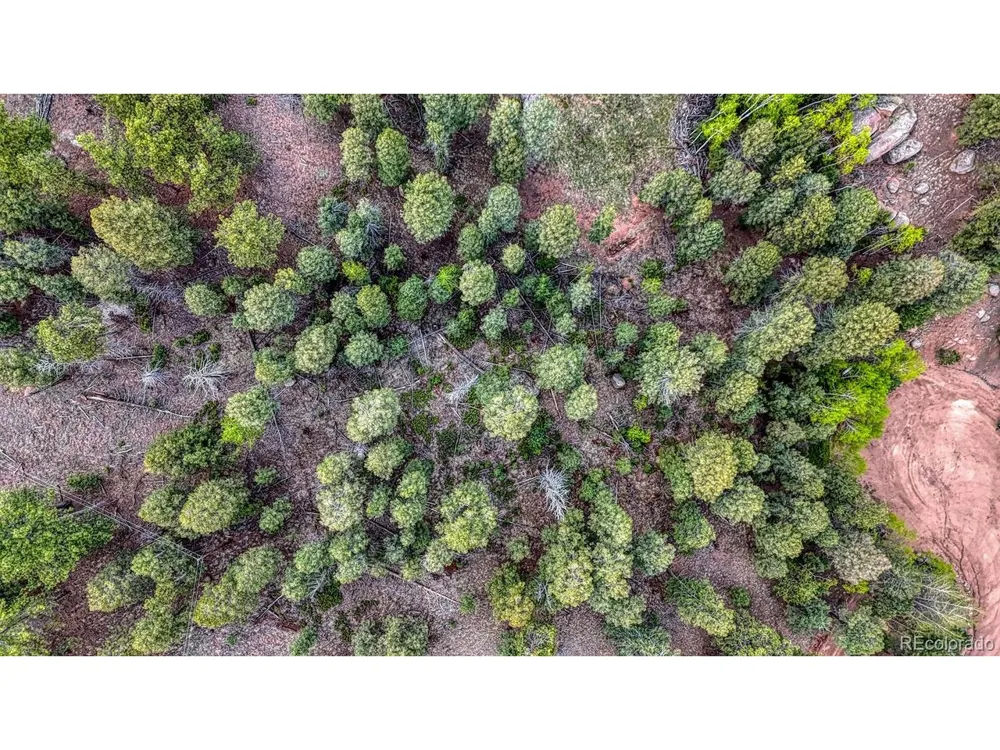 918 Pinon Lane Florissant, CO 80816