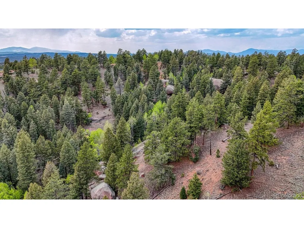 918 Pinon Lane Florissant, CO 80816