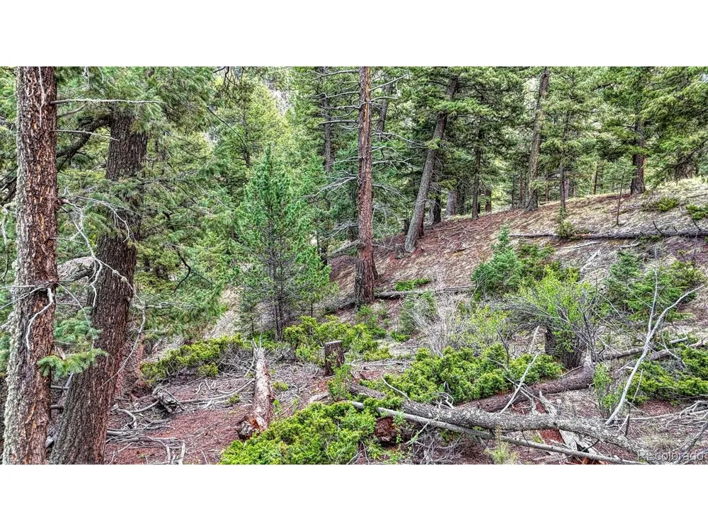 918 Pinon Lane Florissant, CO 80816