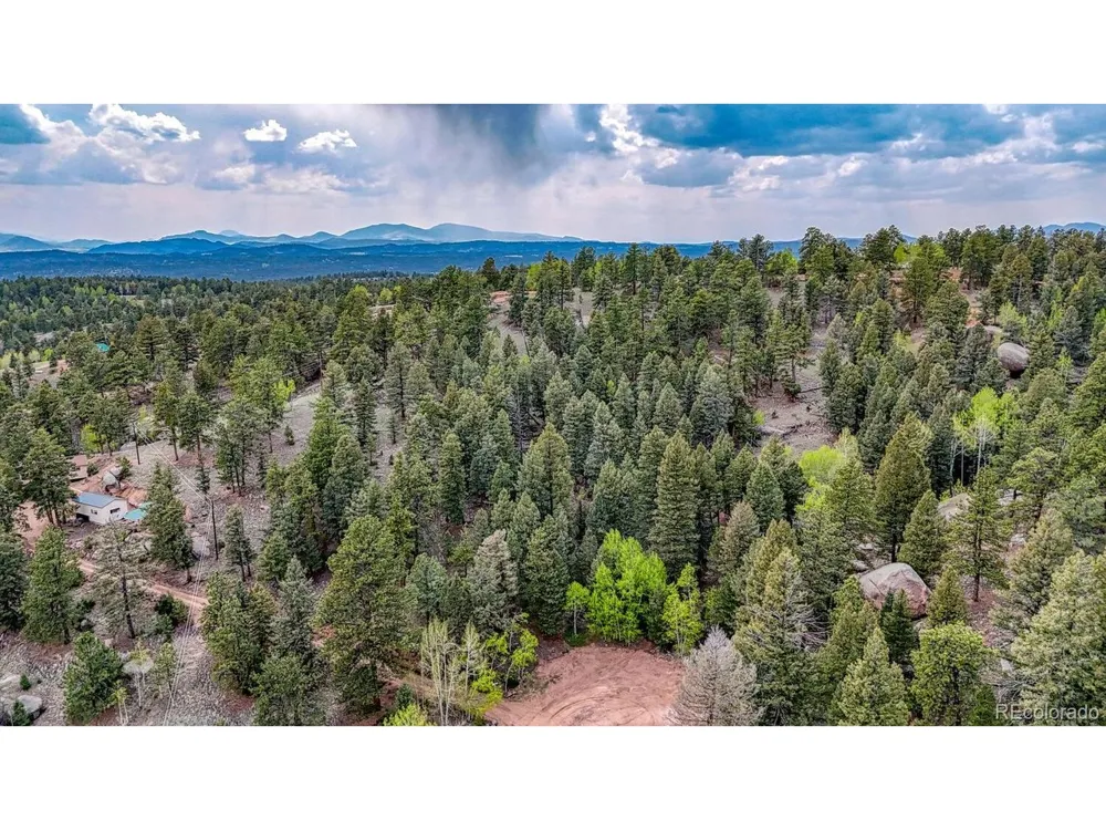 918 Pinon Lane Florissant, CO 80816