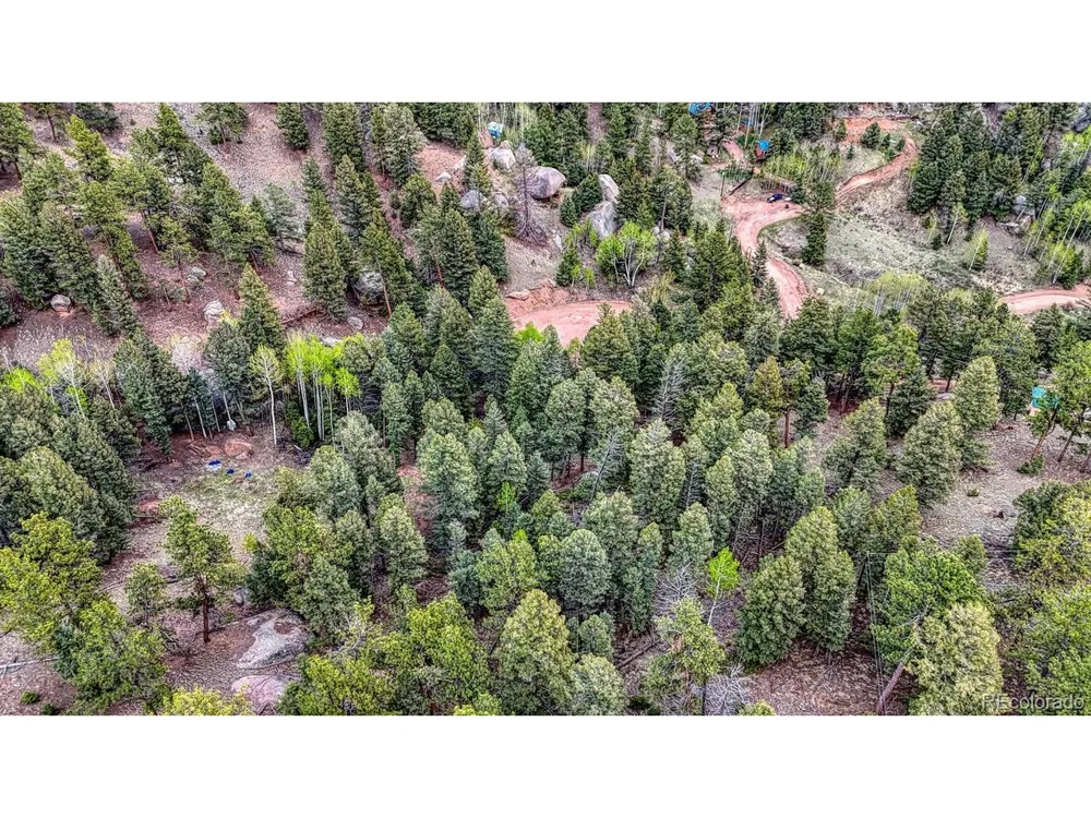 918 Pinon Lane Florissant, CO 80816